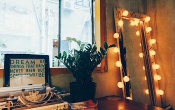 Turned-on Vanity Mirror Near Leafed Plant and Window
