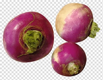 Turnip Rutabaga Root Vegetables, vegetable transparent background PNG clipart