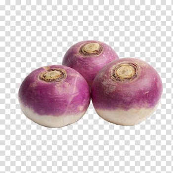 Turnip Vegetable Foftpool Sa Food Rutabaga, vegetable transparent background PNG clipart