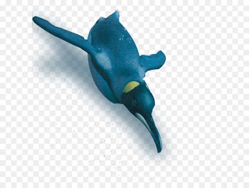 Turquoise Fish - ski dubai snow park 