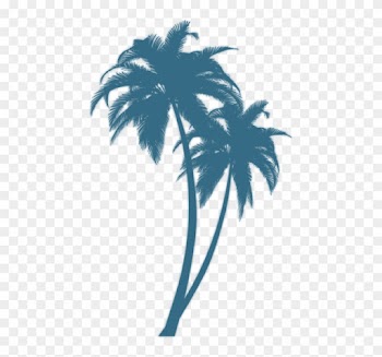 Turquoise Palm - Black Palm Tree Png