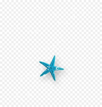 Turquoise Starfish Computer Wallpaper - Starfish bubbles 