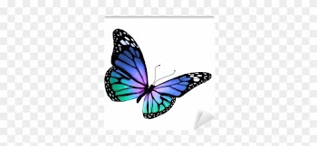 Turquoise Violet Butterfly, Isolated On White Background - Heal Breast Cancer Naturally - 7 Essential Steps