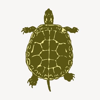 Turtle, animal clipart, illustration vector. | Free Vector - rawpixel