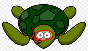 Turtle Animal Nature Water Wildlife Green - Cartoon Turtle Png