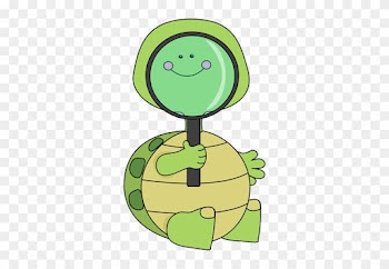 Turtle Looking Through Magnifying Glass - Baby Animals Reading Cartoon