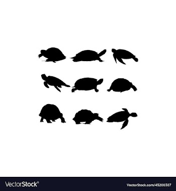 turtle sea silhouette set design