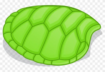 Turtle Shell Clipart