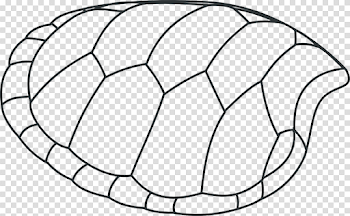 Turtle Shell Patterns Black And · Free vector graphic on Pixabay