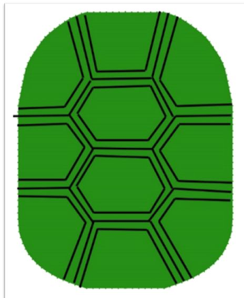 Turtle Shell PNG HD Transparent Turtle Shell HD.PNG Images. | PlusPNG