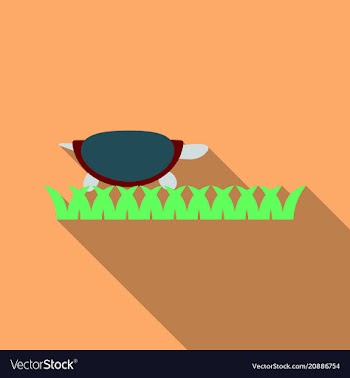 Turtle turtle with shell in the grass flat design vector image