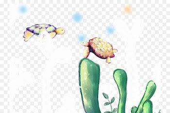 Turtle - Two painted turtles 
