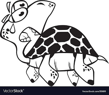 Turtle vector image