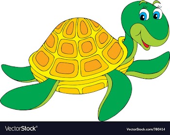 Turtle vector image