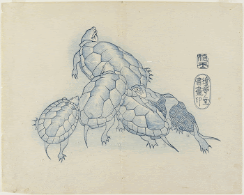 Turtles (1830s) print in high | Free Photo - rawpixel