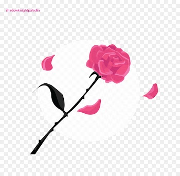 Tuxedo Mask Sailor Mars Sailor Moon Sailor Mercury Sailor Jupiter - sailor moon 