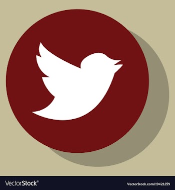 Tweet bird logotwitter icon buttonflat social vector image