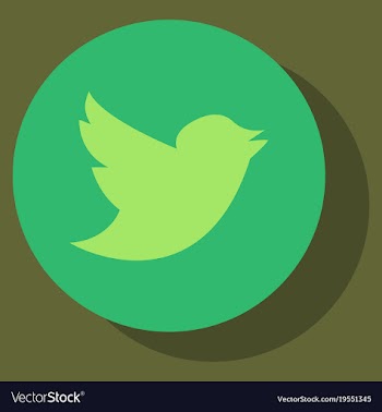 Tweet bird logotwitter icon buttonflat social vector image
