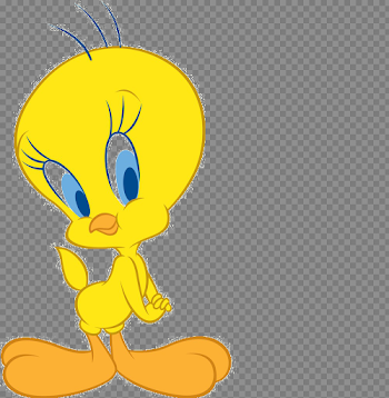 Tweety Bird PNG Photo
