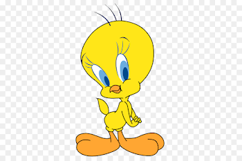 Tweety Sylvester Cartoon Looney Tunes Drawing - tweety png ...
