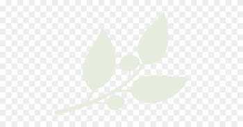 Twenty Five Years Ago, We Began As A Small Scale Natural - Twenty Five Years Ago, We Began As A Small Scale Natural