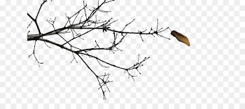 Twig Branch Portable Network Graphics Tree Clip art - tree 