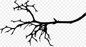 Twig, Branch, Tree PNG