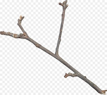 Twig Download Icon - Diagonal Y-shaped twigs 