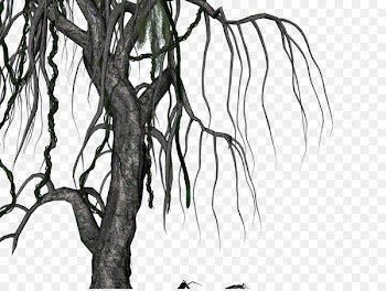 Twig Drawing Root Stock illustration Tree - compression 