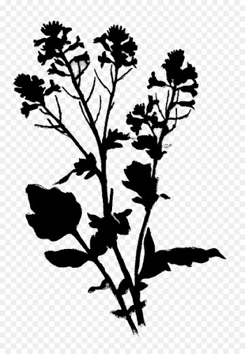 Twig Flower Plant stem Clip art Leaf -  