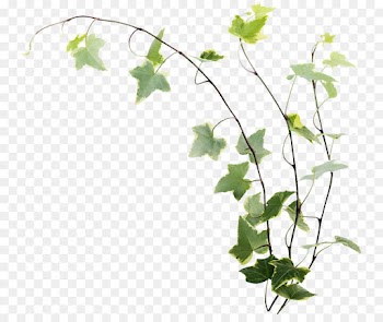 Twig, Flowerpot, Plant Stem, Flower, Leaf PNG