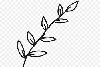 Twig Leaf Branch Clip art Plant stem - Leaf 