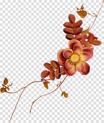 Twig Leaf Plant stem Floral design Petal, others transparent background PNG clipart