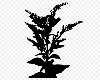 Twig Plant stem Flower Leaf Font -  