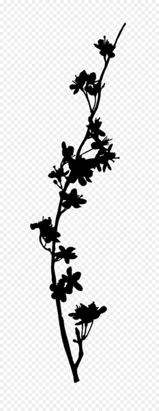 Twig Plant stem Flower Leaf Line -  