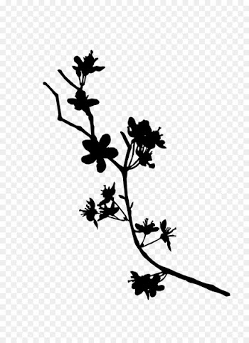 Twig Plant stem Flower Leaf Line -  