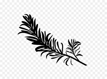 Twig Plant stem Flower Leaf Line -  
