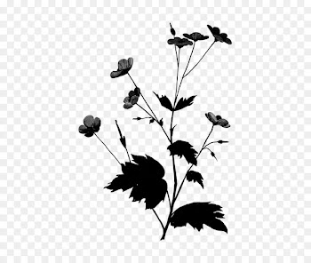 Twig Plant stem Flower Leaf Silhouette -  