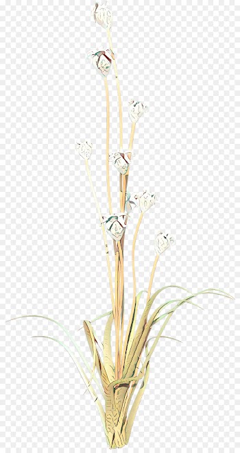 Twig, Plant Stem, Flower, Plant PNG