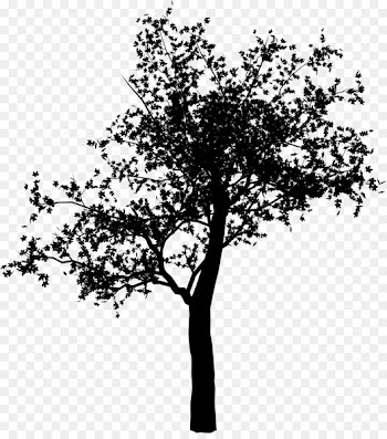Twig Plant stem Leaf Flower Font -  