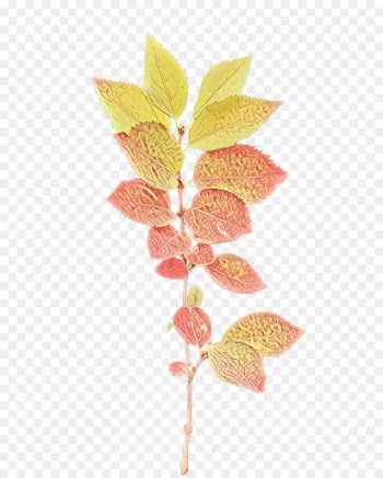 Twig, Plant Stem, Leaf, Flower PNG