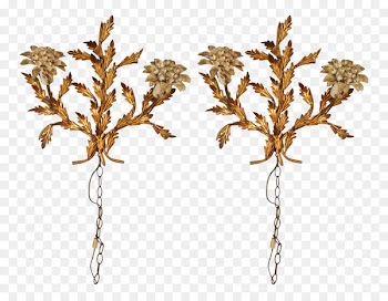 Twig Plant stem Leaf Flowering plant Plants - gilded bubble 