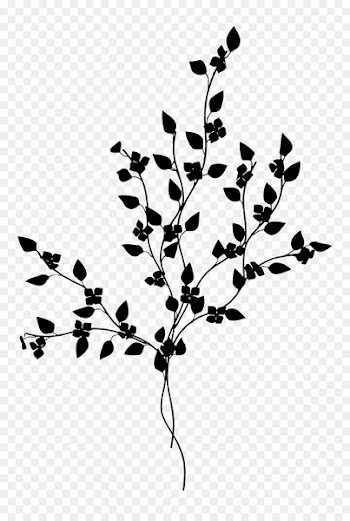Twig Plant stem Leaf Font Line -  