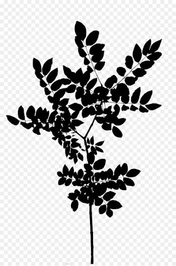 Twig Plant stem Leaf Font Silhouette -  