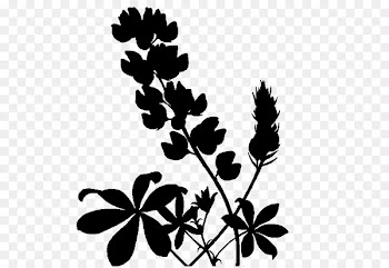 Twig Plant stem Leaf Font Silhouette -  