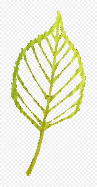 Twig Plant stem Leaf Line Font -  