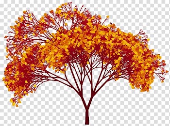 Twig Plant stem Leaf Maple Tree, Leaf transparent background PNG clipart