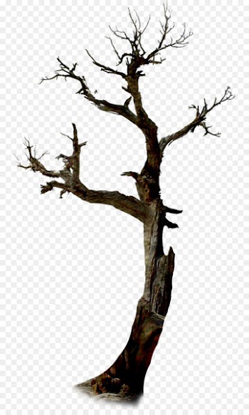 Twig The Halloween Tree Clip art - dead tree 