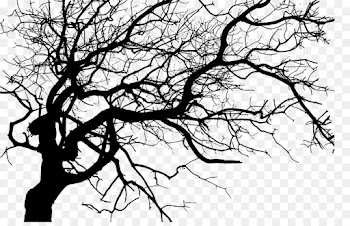 Twig, Tree, Silhouette, Branch PNG