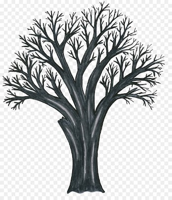 Twig Workwear Pruning Afacere Fruit tree - others 